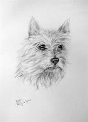 Patricia Spink - Bilbo